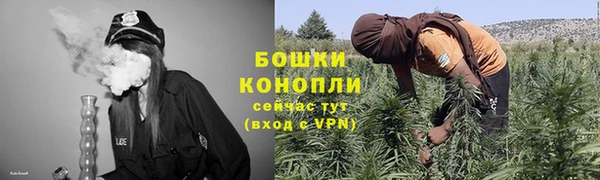 шишки Алексеевка
